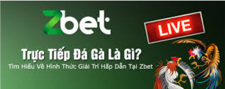 Zbet kinh nghiệm đá gà